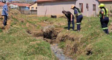 A team inspects the protected wetland corridor near Ermelo Golf Club.