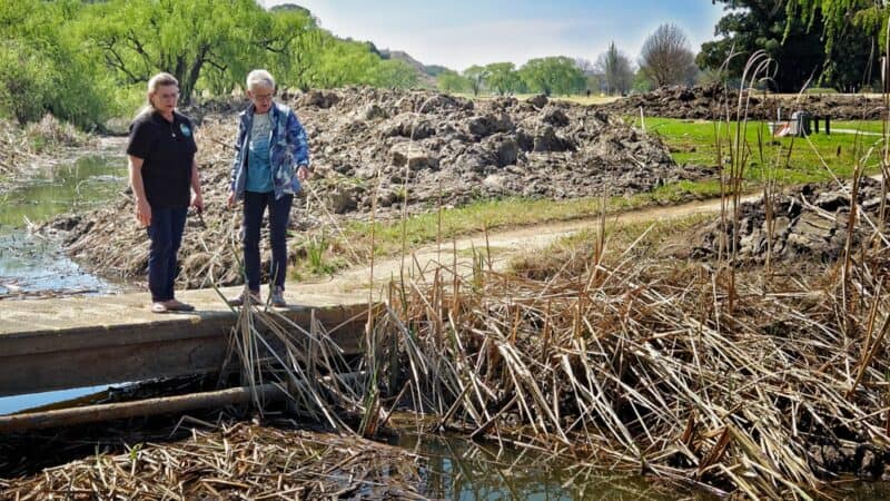 Sonicha Korczynski and Silvija Breytenbach stand next to invasive reeds in the wetland.
