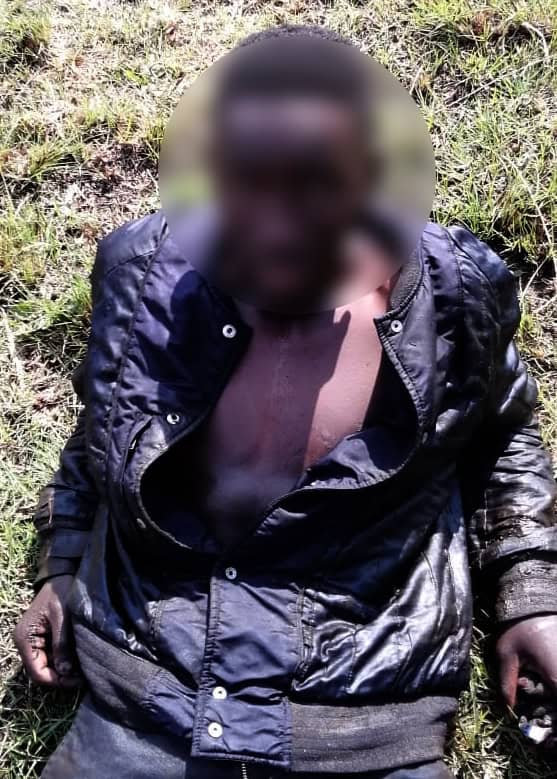 Suspect detained following an alleged bicycle theft in Cassim Park