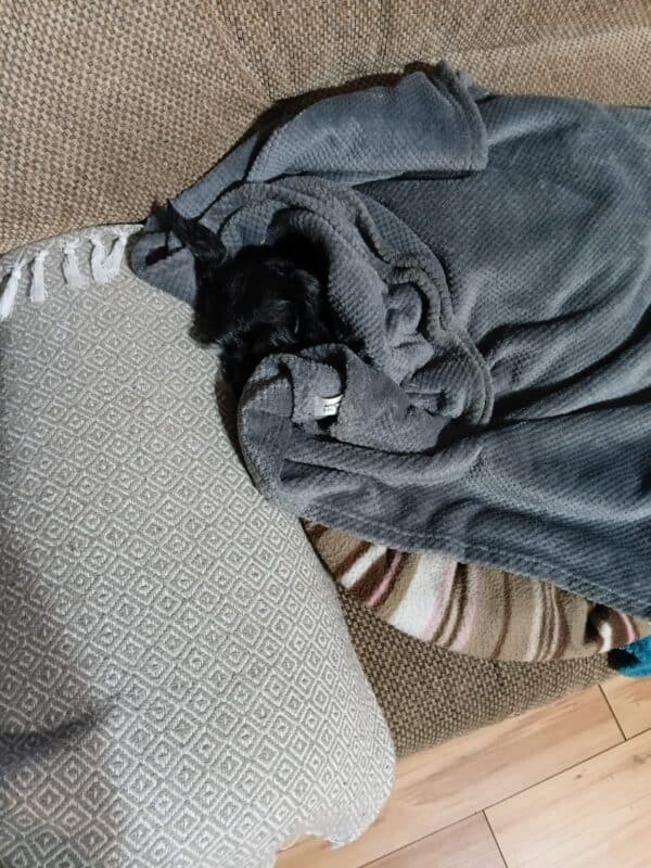 Mienkie lê snoesig onder ’n kombers nadat sy veilig met haar gesin herenig is.