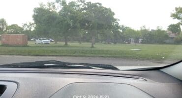 Verskeie voertuie staan op ’n oop grasgebied in Van Zylstraat, Ermelo, waar inwoners oor lawaai, rommelstrooiery en openbare drankgebruik kla.