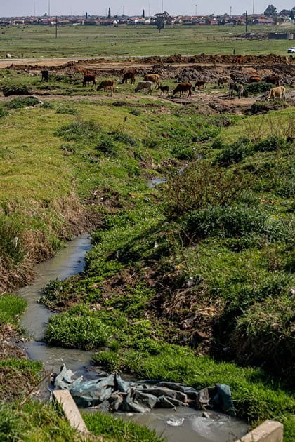 Polluted water flows through a channel in the Wesselton area.