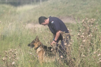 The police search the area.