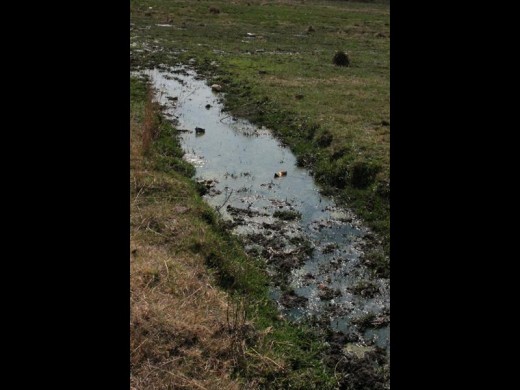 Die riool vloei by die oop veld in Louis Trichardtstraat.