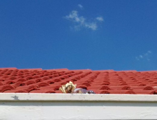Another petrol bomb landed on Mr Vilakazi's roof.