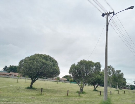 Dié kragkabel wat op die gras in die parkie lê.