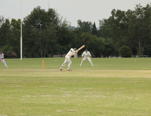 IMG_7340 (Copy)