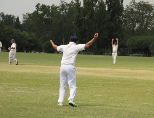 IMG_7345 (Copy)