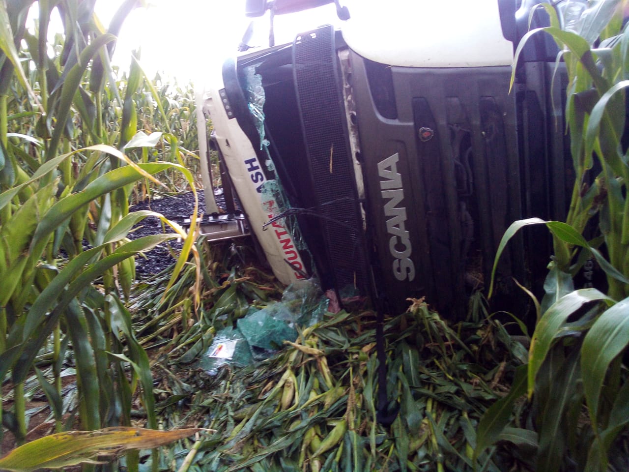 A truck ploughed into a corn field and capsized near Matla Power Station.