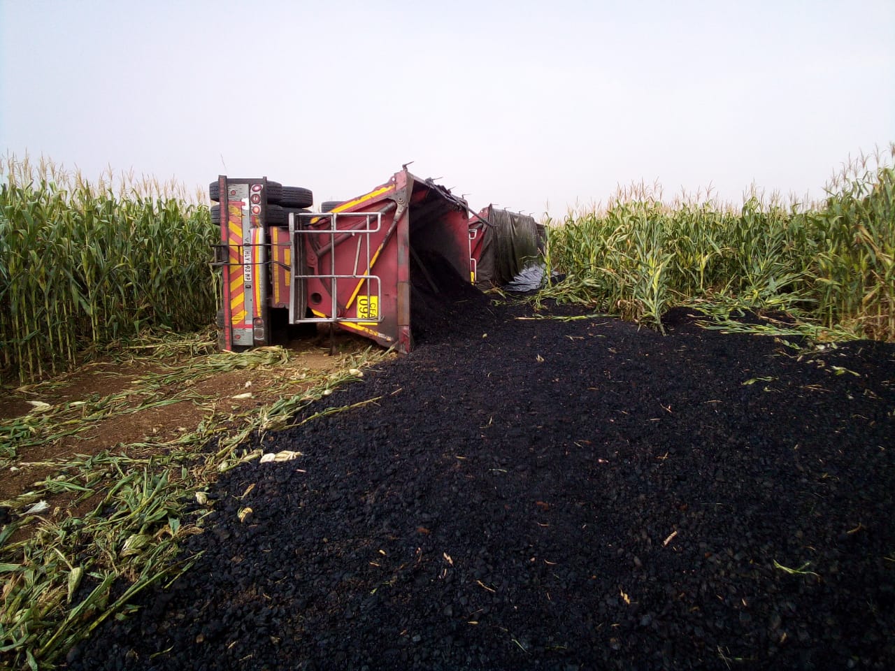 A truck ploughed into a corn field and capsized near Matla Power Station.