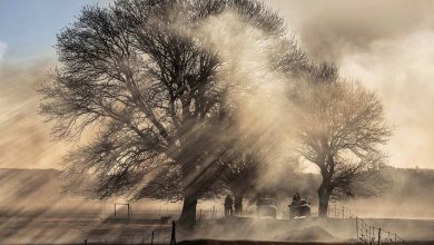 Beautifully Destructive