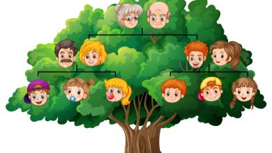 Weekend craft: Branch out and make a family tree