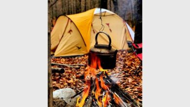 43271388eed2dafcf5a_10644