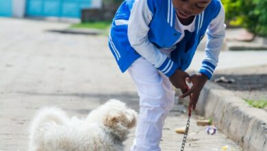 How to raise a kind and compassionate child