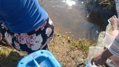 Capture-4-412x470 (1)