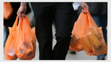 grocerybag_10736