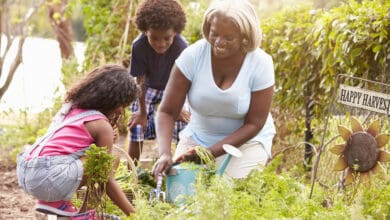 Teaching environmentally-friendly financial decisions