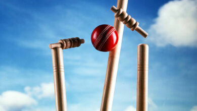cricket