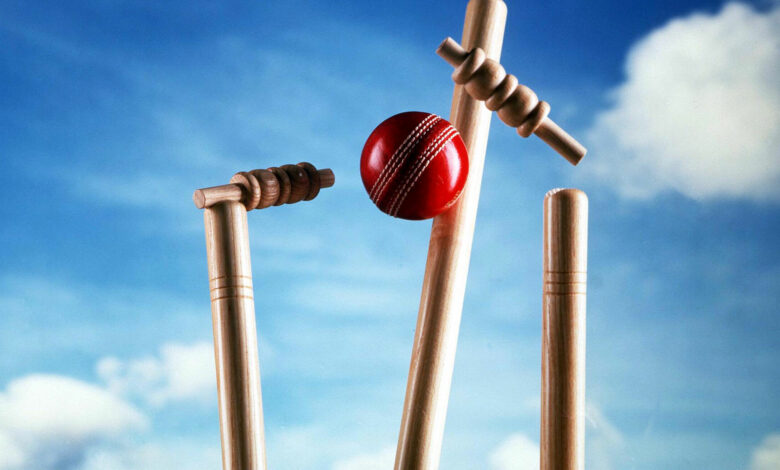 cricket