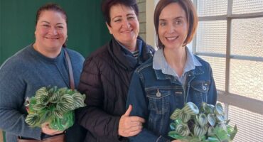 Three women holding plants in front of a window.