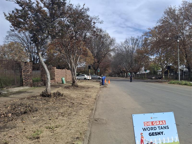 A sign that says no parking on the side of the road.