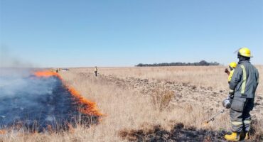 A field with a fire burning in the middle of it.