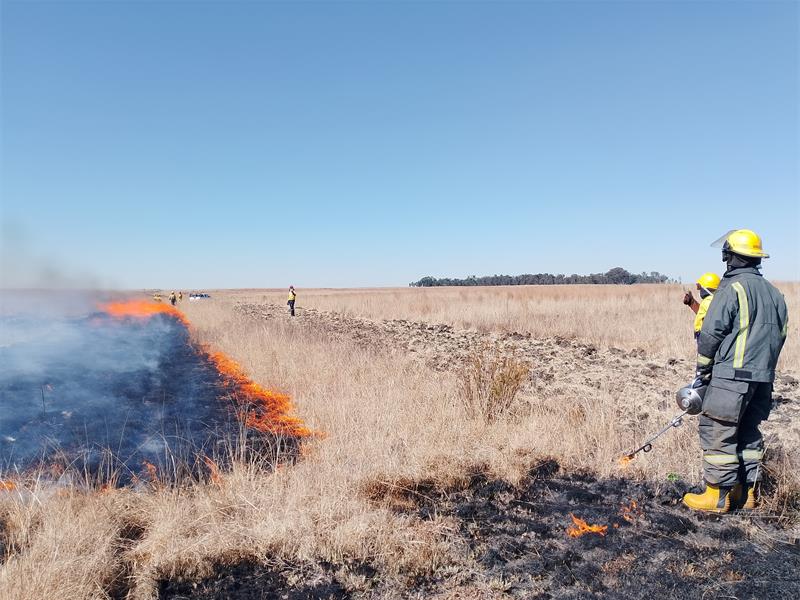 A field with a fire burning in the middle of it.