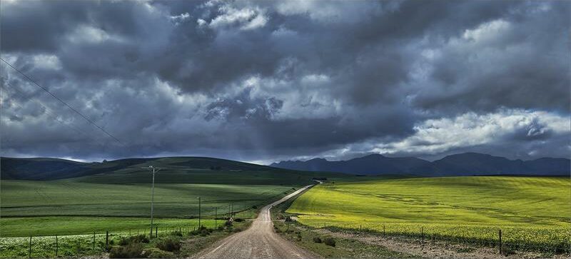 The road to the farm.