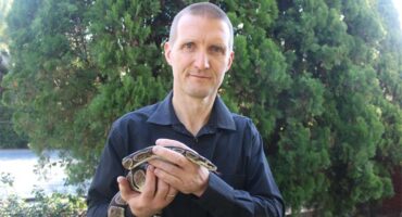 A man holding a snake in his hands.