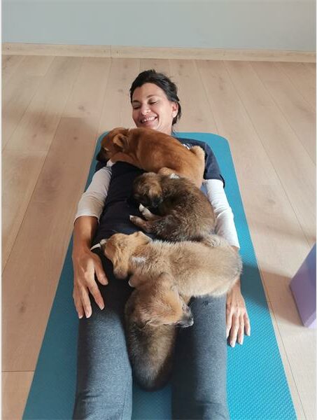 A woman laying on a yoga mat with three puppies.