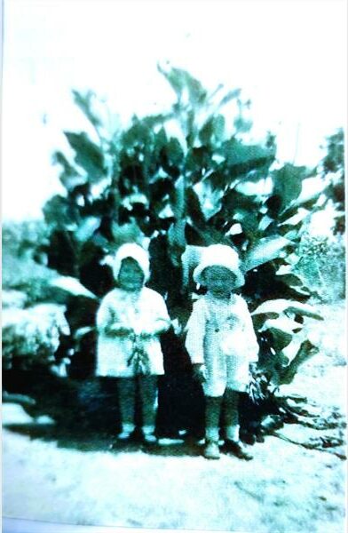 Two children standing next to a plant.