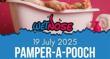 Pamper-a-poo – july 19th.