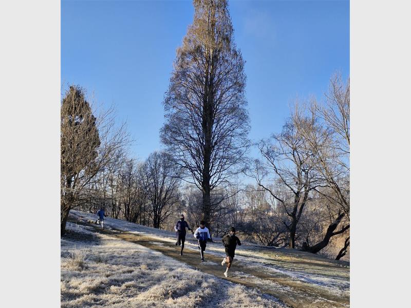 People are running in the snow near a tall tree.