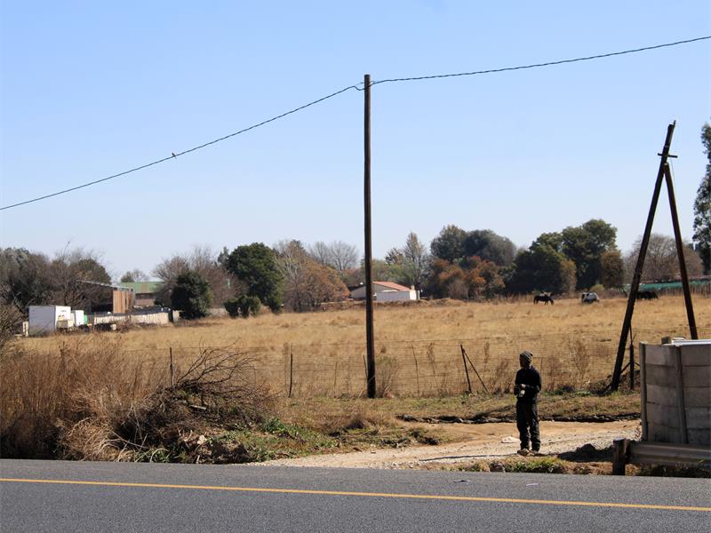 A man standing on the side of the road.