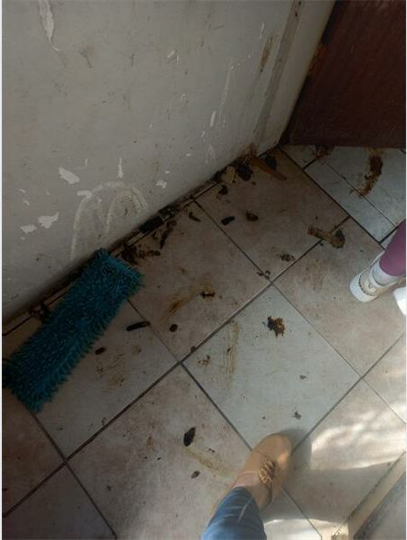 A person standing in front of a bathroom with a broom.