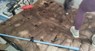 A woman is cleaning a bed with a broom.
