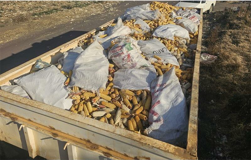A truck full of corn sitting on the side of the road.