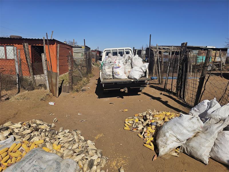 A truck full of corn sitting on the side of the road.