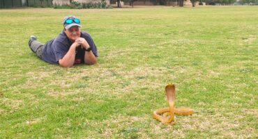 a person looks at a snake