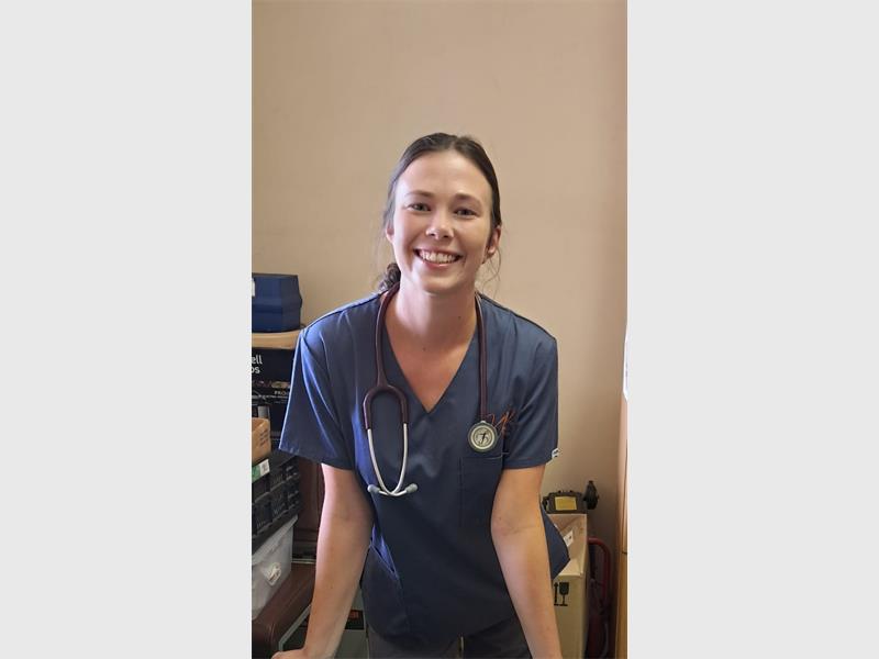 Vet advises on treating dogs with parvo at home