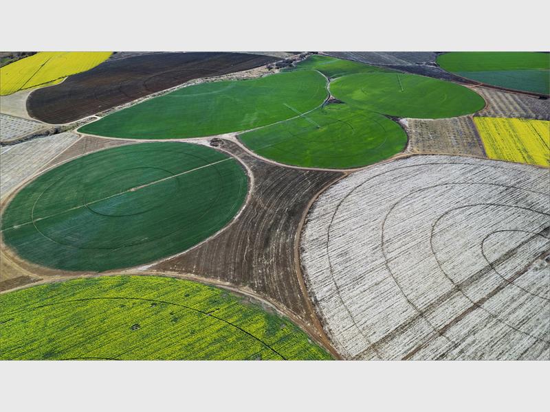 Arial photo of canola fields.