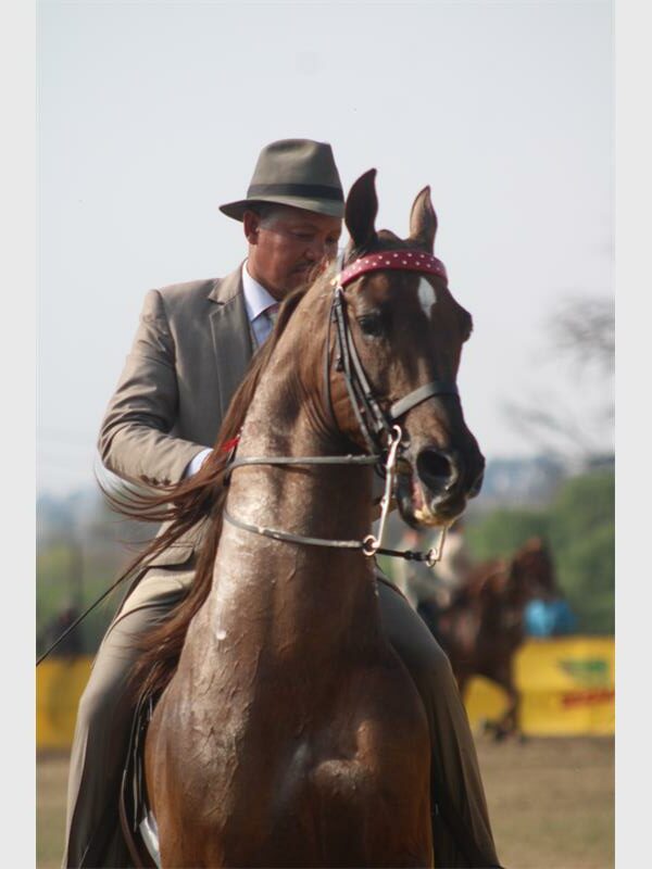 A man on a horse.
