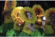 girl dressed as a sunflower