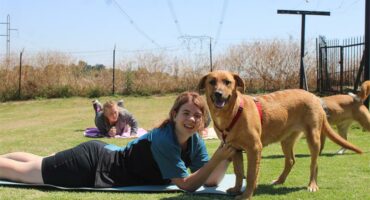 a woman on her stomach with a dog walking past