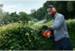 man cuts hedge