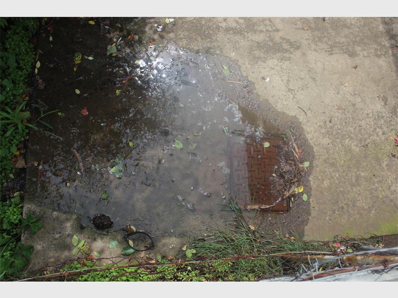 a blocked sewer drain