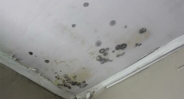 mould on a ceiling