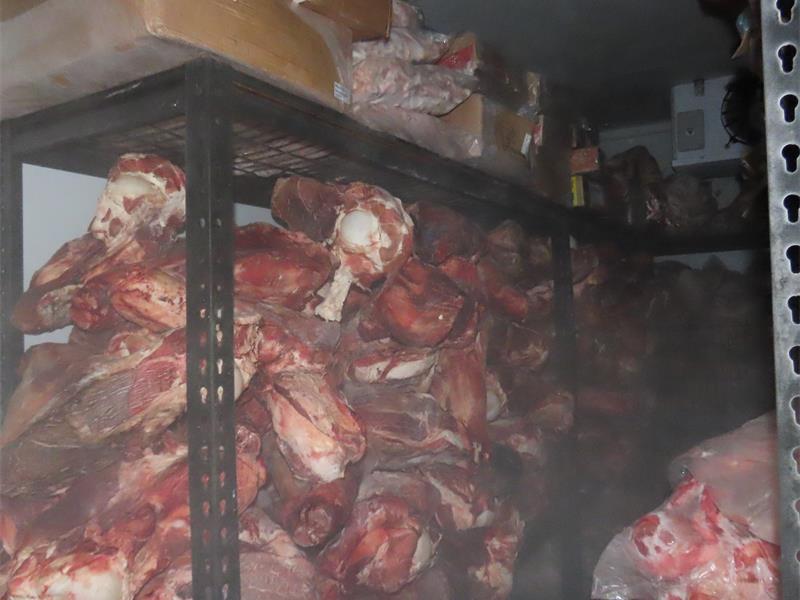 Meat kept in unsanitary conditions.
