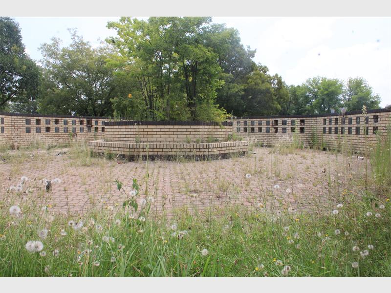 overgrown area in a cemetery