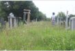 a woman stand in tall grass in a cemetery